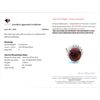 Image 3 : 4.16 ct Certified Silver Ruby gemstone Ring ($5,492 Appraisal)