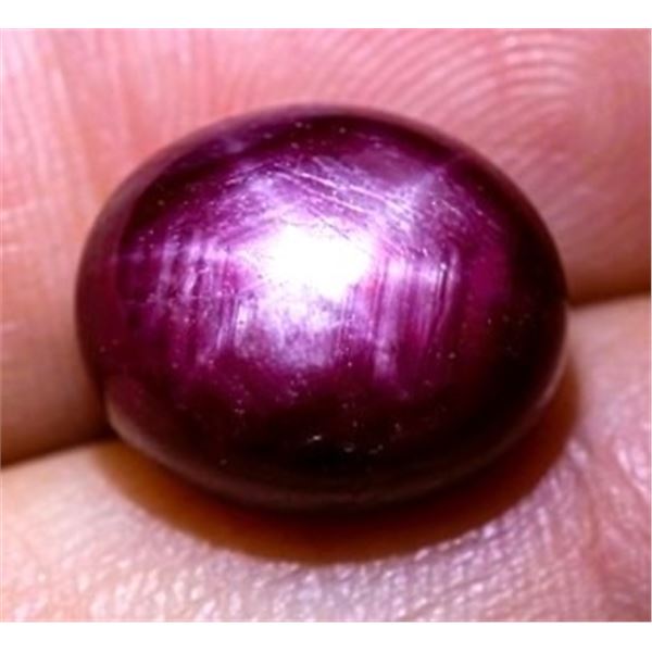 7.31 ct Certified Untreated Star Ruby gemstone ($8,772 Appraisal)