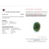 Image 3 : 6.58 ct Certified Silver Emerald gemstone Ring ($12,424 Appraisal)