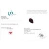 Image 3 : 9.89 ct Certified Madagascar Ruby gemstone ($11,400 Appraisal)