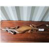 Image 1 : S2 Hand Carved Salamander A