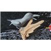 Image 8 : Wood Animals A
