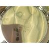 Image 10 : S4 Silver Plate A