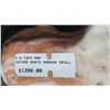 Image 5 : S2 Agate Dragon Skull A