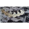Image 3 : S2 Hip Hop Mouth Grill A