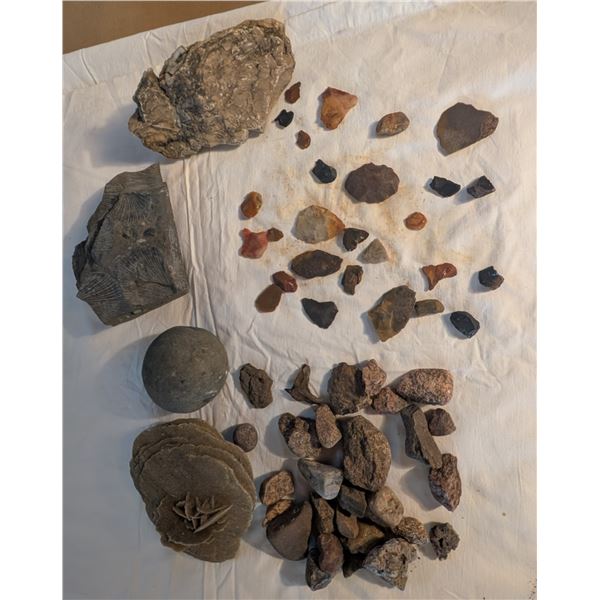 Geological Formations & Fossils / Artifacts - Dessert Rose
