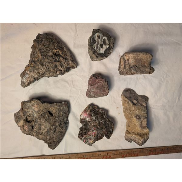 Mineralized Vertebrae Agate and Microcrystals