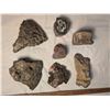 Image 1 : Mineralized Vertebrae Agate and Microcrystals