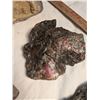Image 2 : Mineralized Vertebrae Agate and Microcrystals