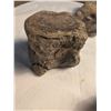 Image 3 : Mineralized Vertebrae Agate and Microcrystals
