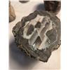 Image 4 : Mineralized Vertebrae Agate and Microcrystals