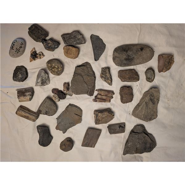 Geological Formations & Fossils / Artifacts
