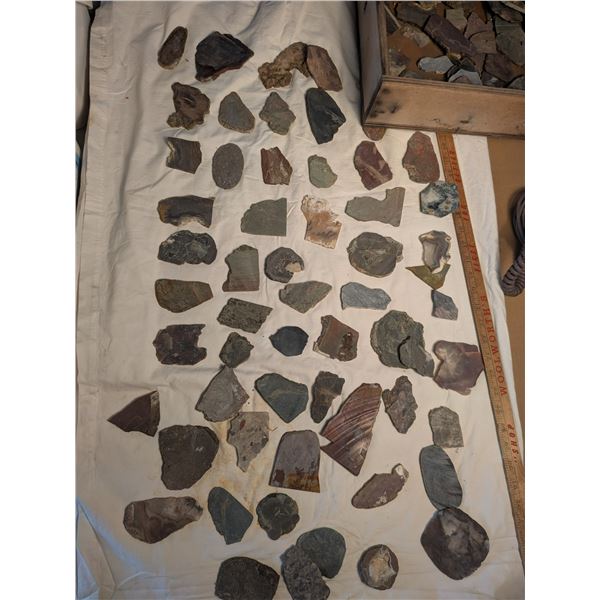 Geological Formations & Fossils / Artifacts
