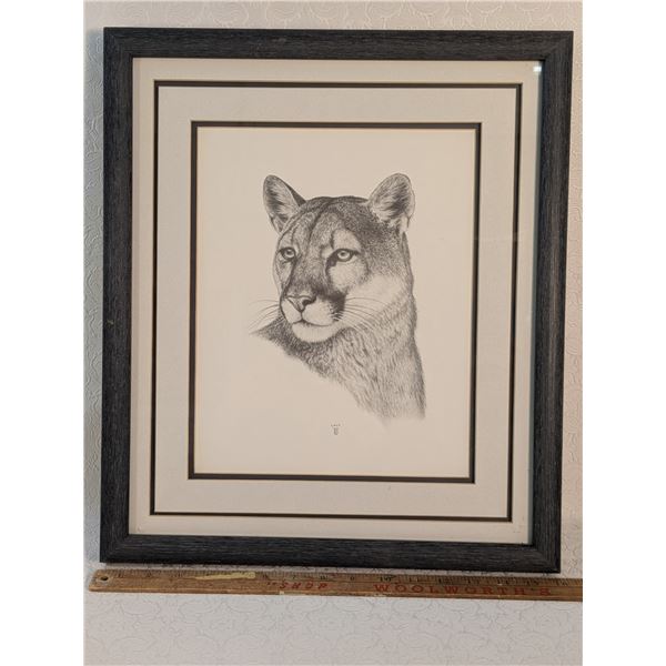 Mountain Lion Lacy 1990 16 x 19