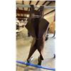 Image 2 : CABELA'S BROWN NEOSTRETCH NEOPRENE CHEST WADERS WITH 3M 200G INSULATED BOOTS SIZE 10R