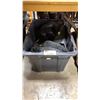 Image 1 : BLACK PLASTIC BIN OF ASSORTED PAIRS OF STEEL TOE AND RUBBER GUM BOOTS *BIN INCLUDED*