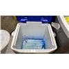 Image 3 : IGLOO PROFILE II 30 GREY PORTABLE COOLER WITH HAND SHOVELS, & BLUE PORTABLE COOLER WITH ICE PACKS