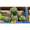 Image 1 : 6 EUREKA SUMA 2 DOME TENTS IN SOFT TRANSPORT BAGS *MUST TAKE ALL*