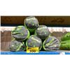 Image 1 : 6 EUREKA SUMA 2 DOME TENTS IN SOFT TRANSPORT BAGS *MUST TAKE ALL*