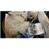 Image 5 : PLASTIC BIN OF INDUSTRIAL ELECTRICAL CABLE / EXTENSION CORDS *BIN INCLUDED*