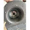 Image 4 : INDUSTRIAL FAN