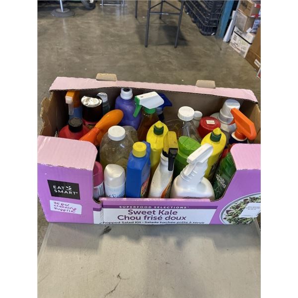 ASSORTED CLEANING SUPPLIES