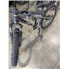 Image 3 : BLACK & SILVER OPUS RECON BIKE