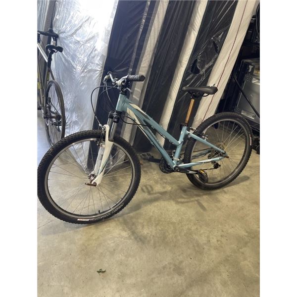 BLUE SPECIALIZED BIKE