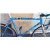 Image 3 : BLUE CAPTIVA BIKE