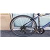 Image 2 : DARK GREY EVO BIKE