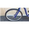 Image 4 : BLUE BIKE