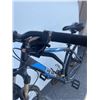 Image 2 : BLACK/ BLUE CCM BIKE