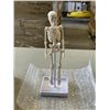 Image 1 : 5 NEW ANATOMY LABS HUMAN BONES MODEL