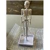 Image 2 : 5 NEW ANATOMY LABS HUMAN BONES MODEL