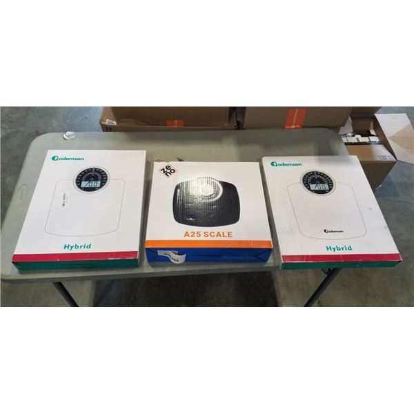 3 ADAMSON SCALES. 2 ARE HYBRID, 1 IS A25