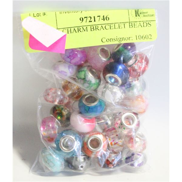 NEW 37 CHARM BRACELET BEADS PAINT