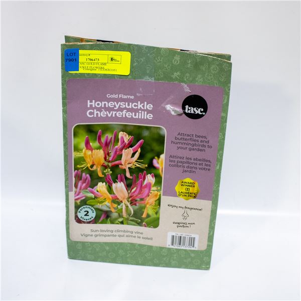 BAG OF TASC GOLD FLAME HONEYSUCKLE FLOWERS