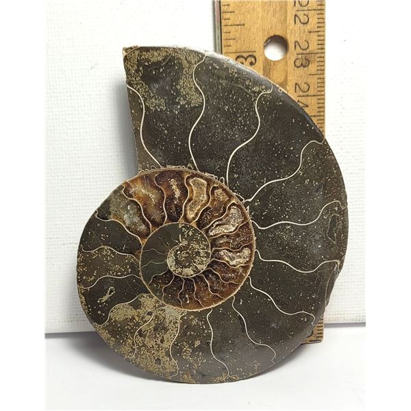 6)  NATURAL 85.4 GRAM AMMONITE