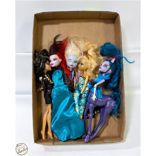 FLAT OF MONSTER HIGH DOLLS