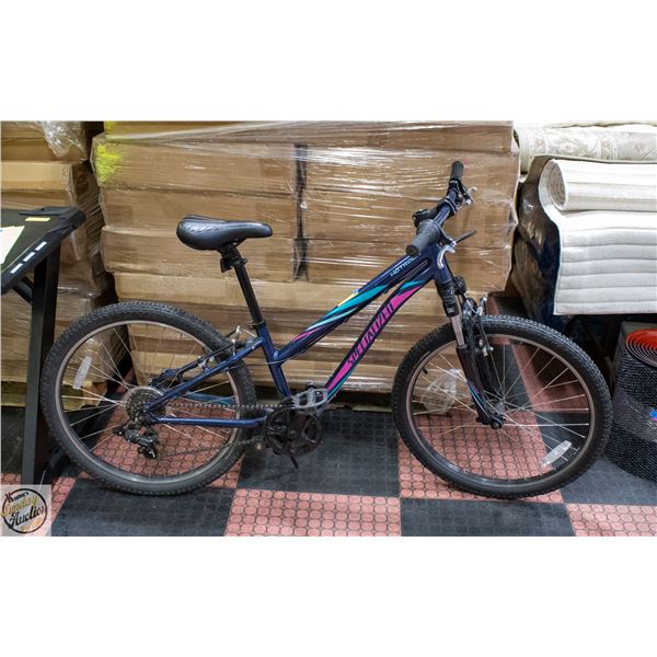 SPECIALIZED HOTROCK YOUTH BIKE