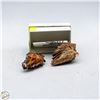 Image 1 : VINTAGE CANADIAN PETRIFIED PINE CONE JEWELRY SET