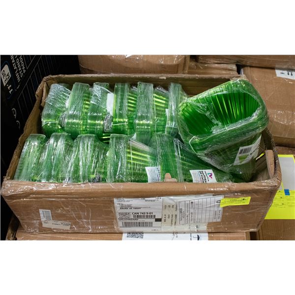 CASE OF 12 X 30 PACKS WITH GARDEN CLOCHES