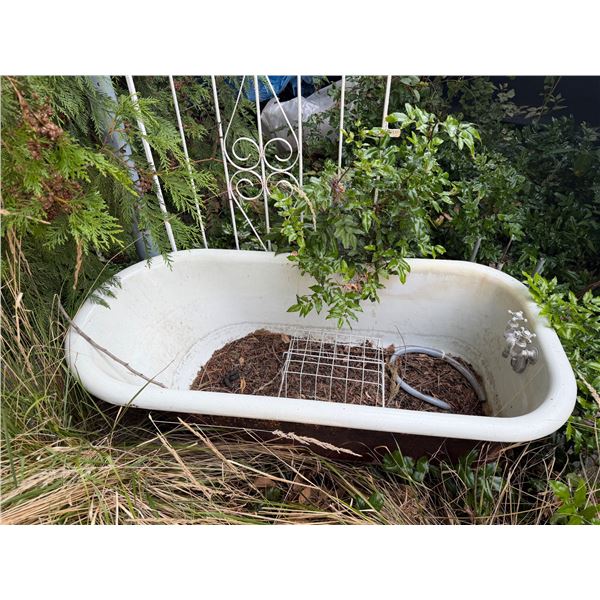 cast iron Bath tub they used as a fountain