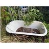 Image 1 : cast iron Bath tub they used as a fountain