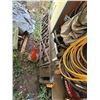Image 1 : 12 foot ladder