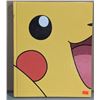 Image 1 : Pokemon Visual Guide Book by Cris Silvestri & Katherine Fang