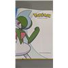 Image 2 : Pokemon Visual Guide Book by Cris Silvestri & Katherine Fang
