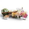 Image 1 : Lot of Household Decorative Items