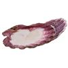 Image 7 : Natural Purple Ribbed Bivalve Seashell Specimen