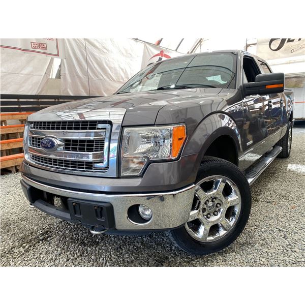PARKSVILLE - 2013 FORD F-150 GREY  KMS - B25146-3
